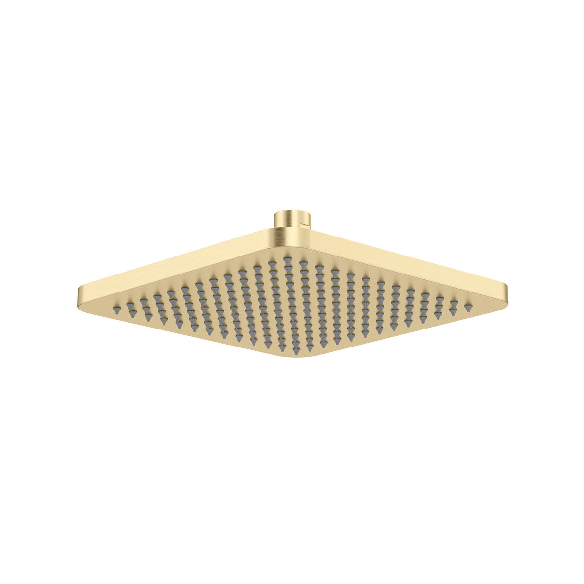 8" Rain showerhead