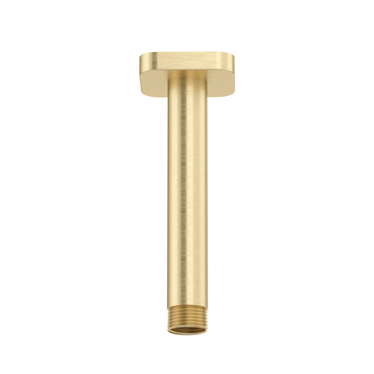 6" Ceiling Mount Shower Arm