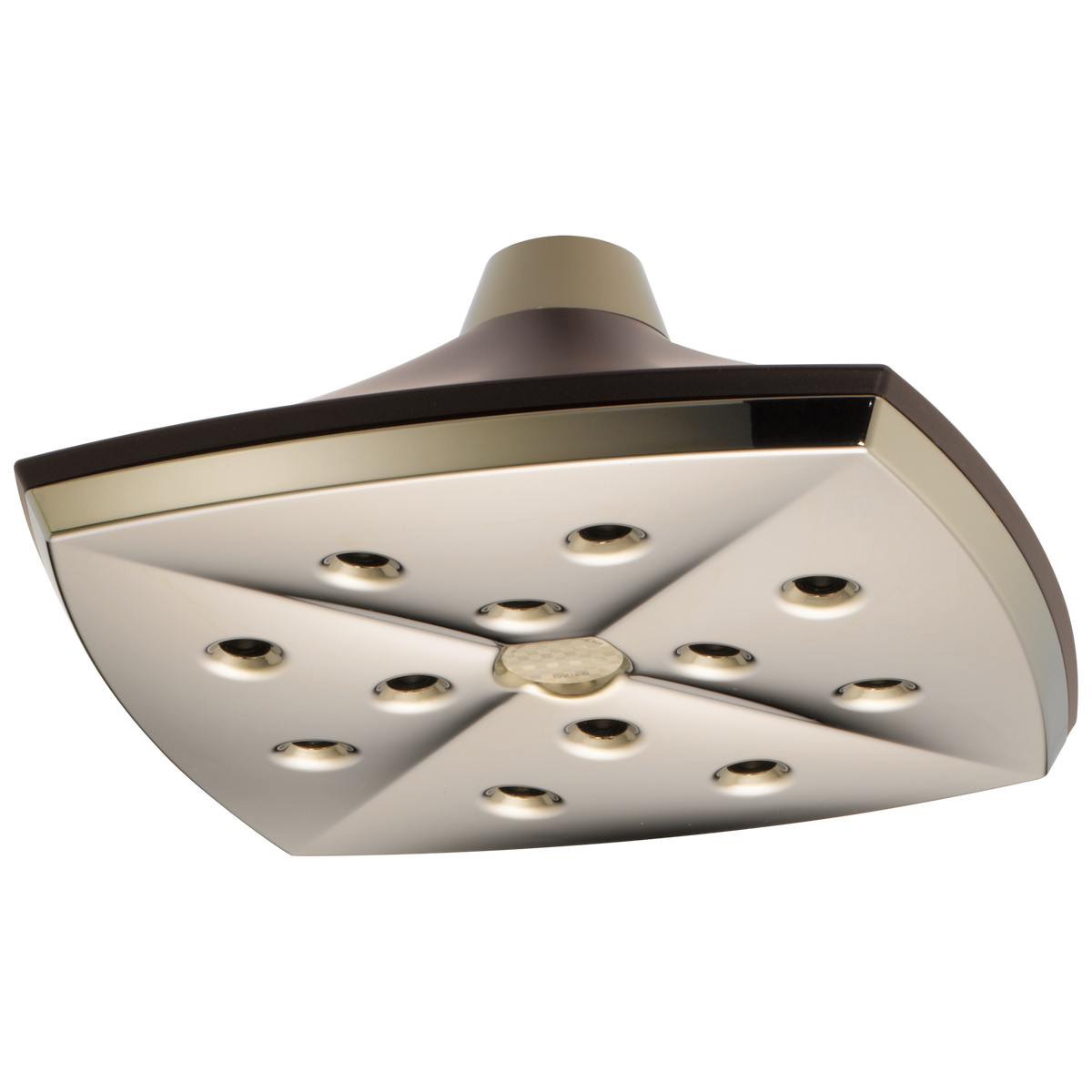CEILING MOUNT RAINCAN