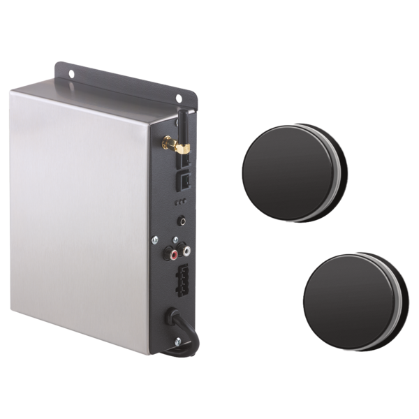 AUDIO MODULE AND INVISIBLE SPEAKERS