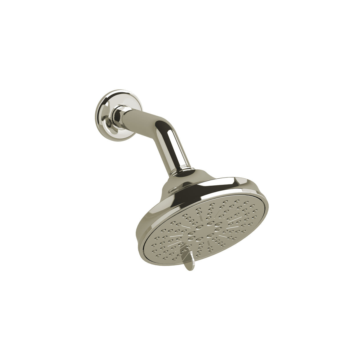 5" 6-Function Showerhead With Arm