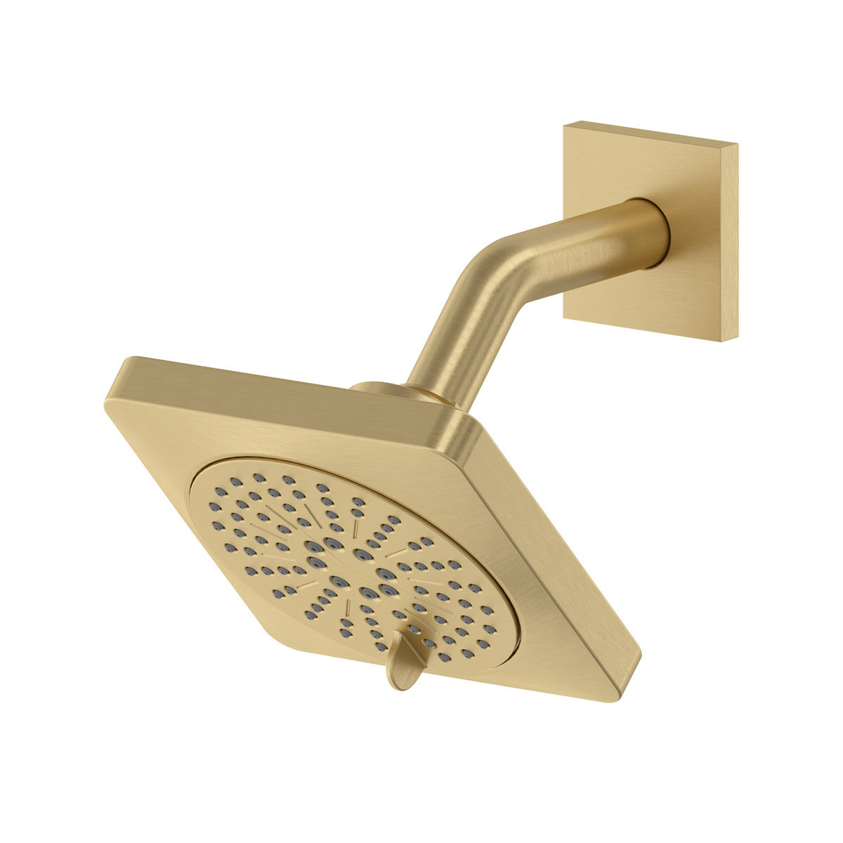5" 6-Function Showerhead With Arm
