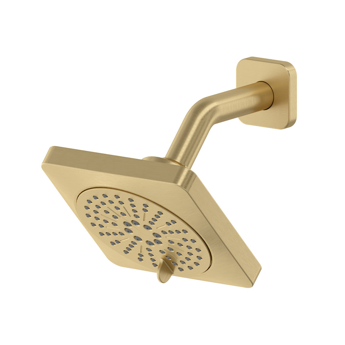 5" 6-Function Showerhead With Arm