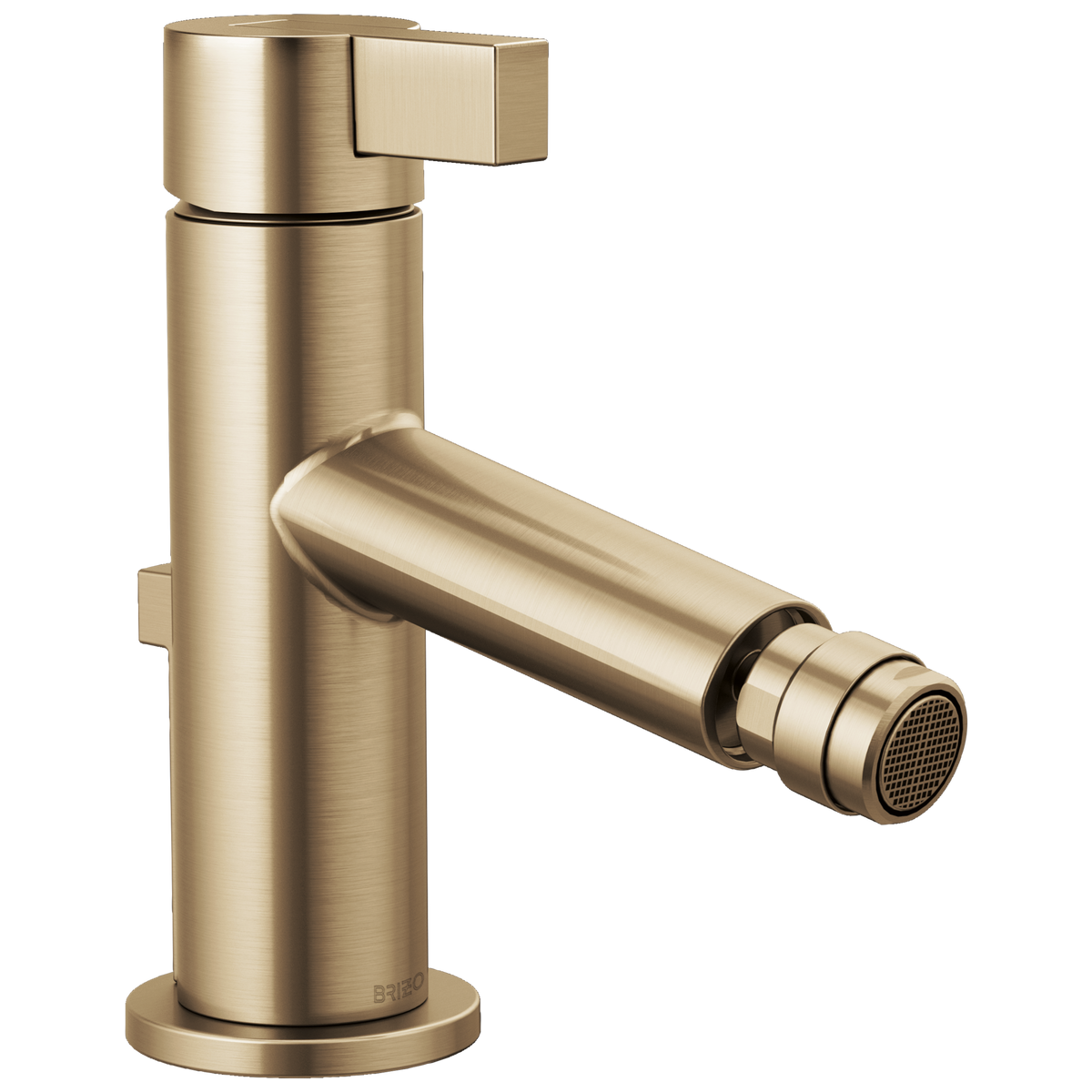 BIDET