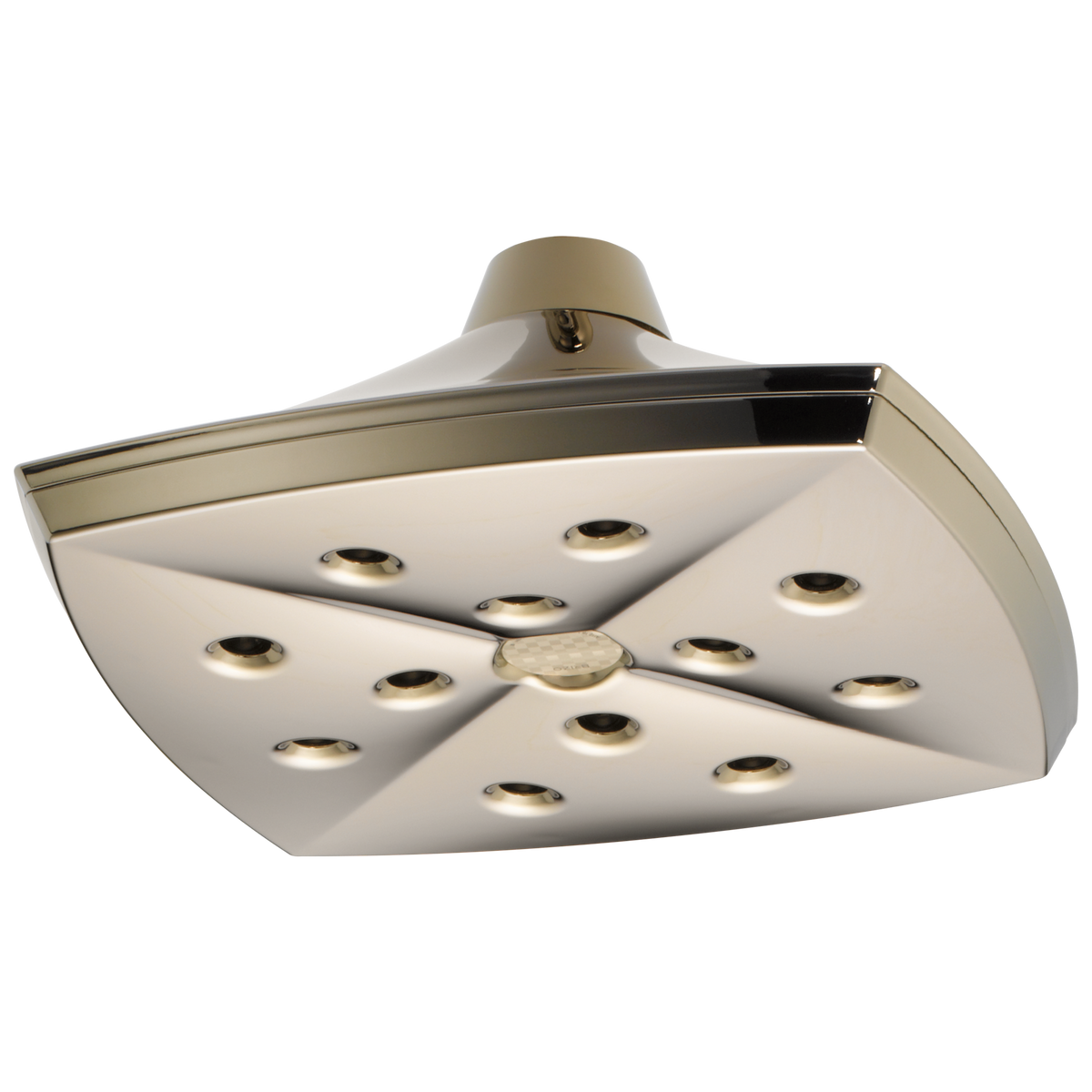 CEILING MOUNT RAINCAN