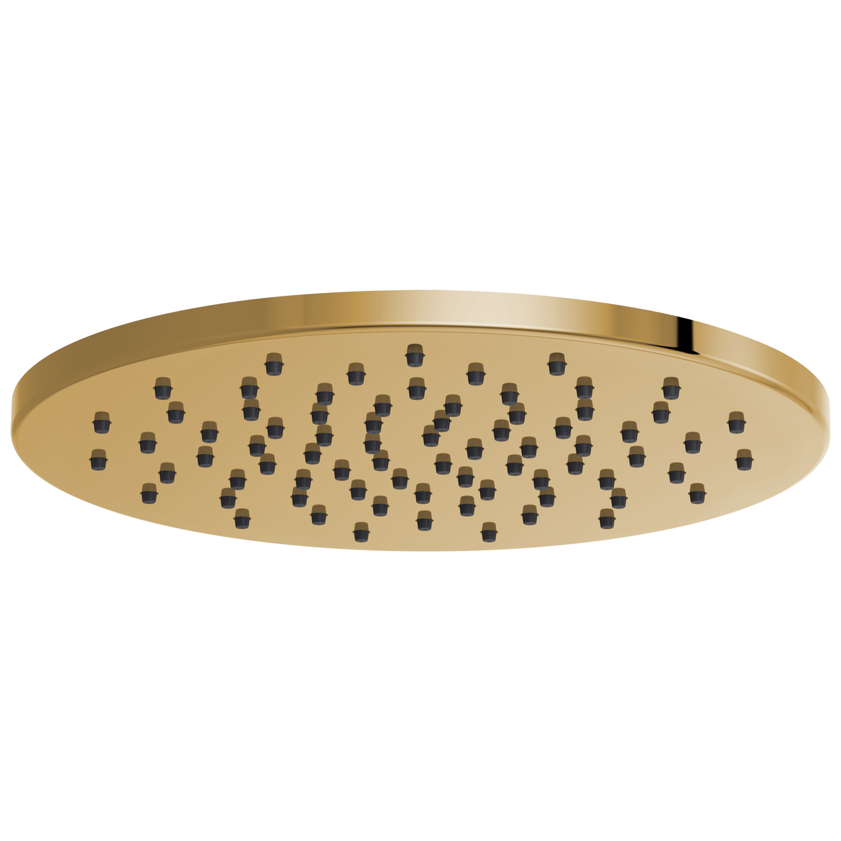 ROUND RAINCAN SHOWERHEAD