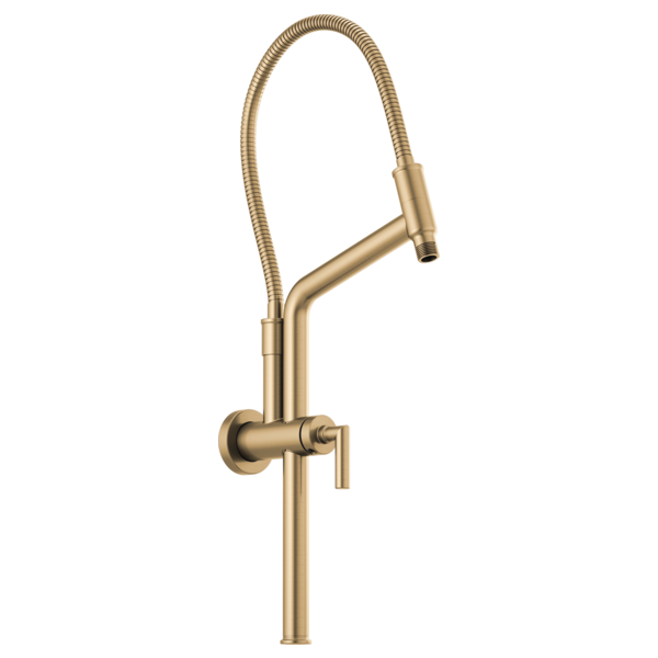 SLIDEBAR SHOWER ARM & FLANGE