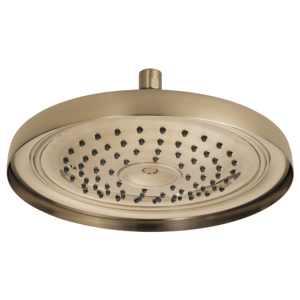 CEILING MOUNT RAINCAN SHOWER HEAD