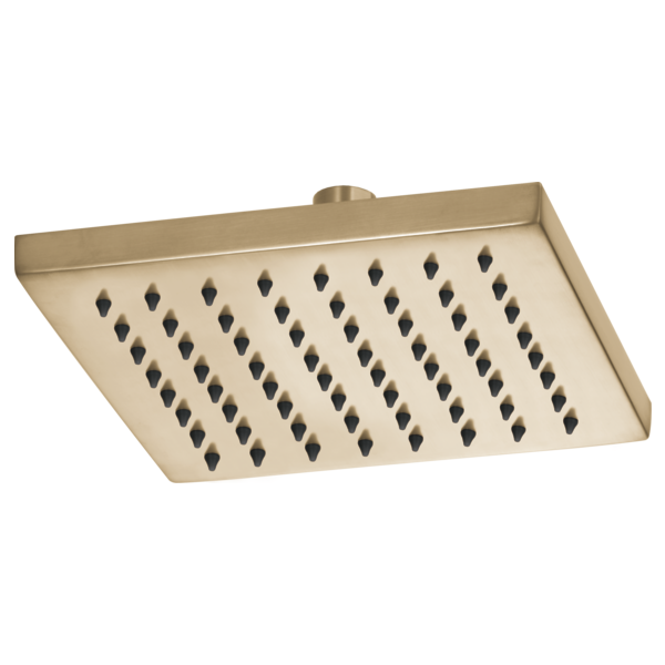 CEILING MOUNT RAINCAN SHOWER HEAD