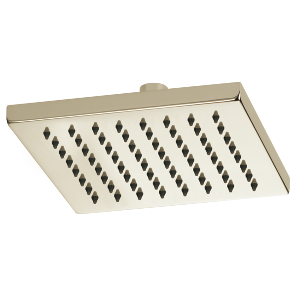 CEILING MOUNT RAINCAN SHOWER HEAD