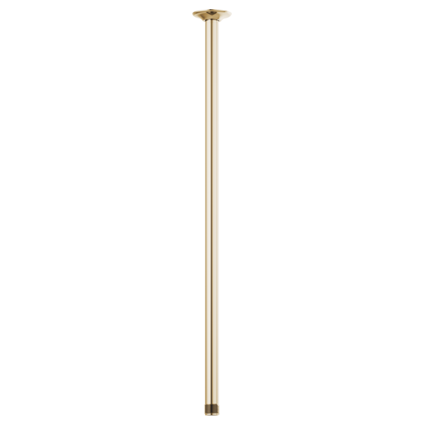 24" CEILING MOUNT SHOWER ARM & FLANGE
