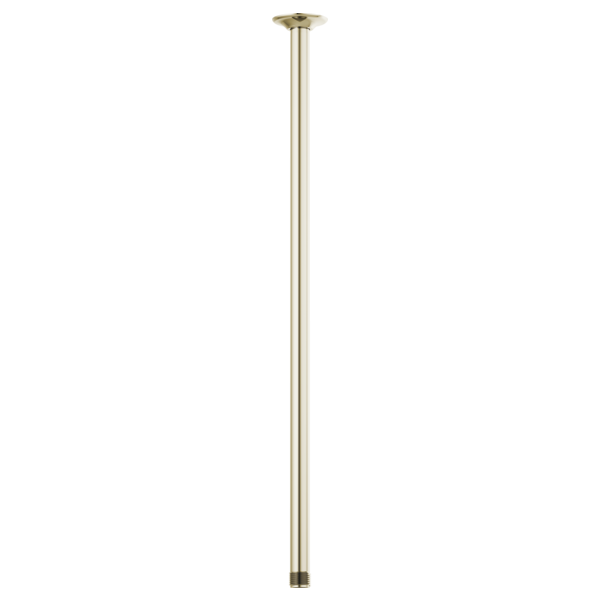 24" CEILING MOUNT SHOWER ARM & FLANGE
