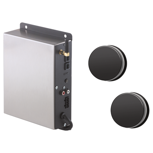 AUDIO MODULE AND INVISIBLE SPEAKERS