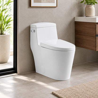 One Piece Elongated Toilet
