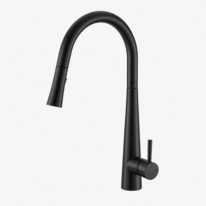 Pulldown Kitchen Faucet