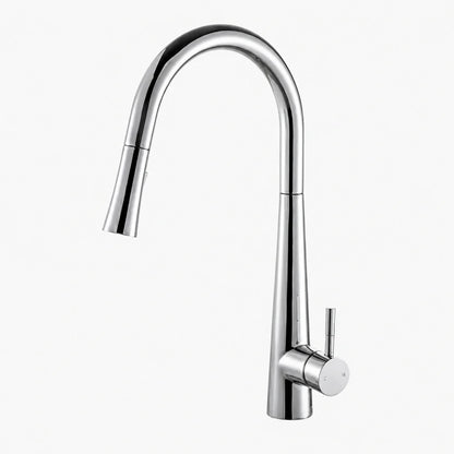 Pulldown Kitchen Faucet