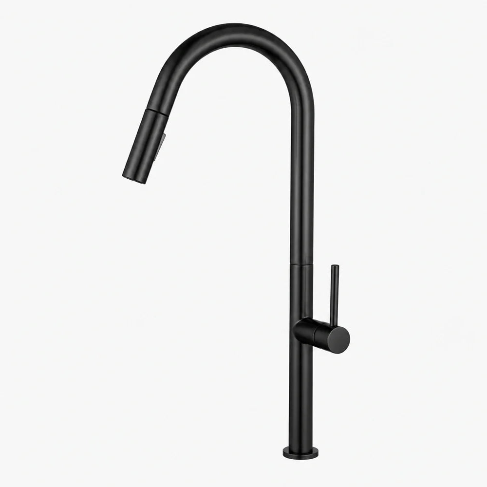 Pulldown Kitchen Faucet