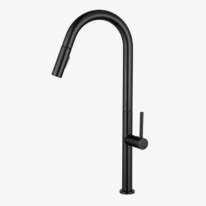 Pulldown Kitchen Faucet