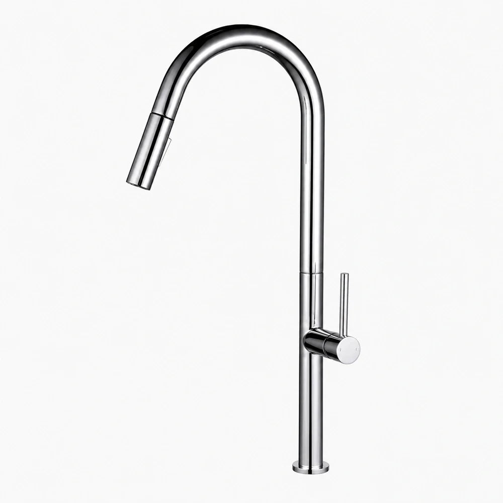 Pulldown Kitchen Faucet