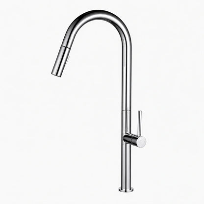 Pulldown Kitchen Faucet