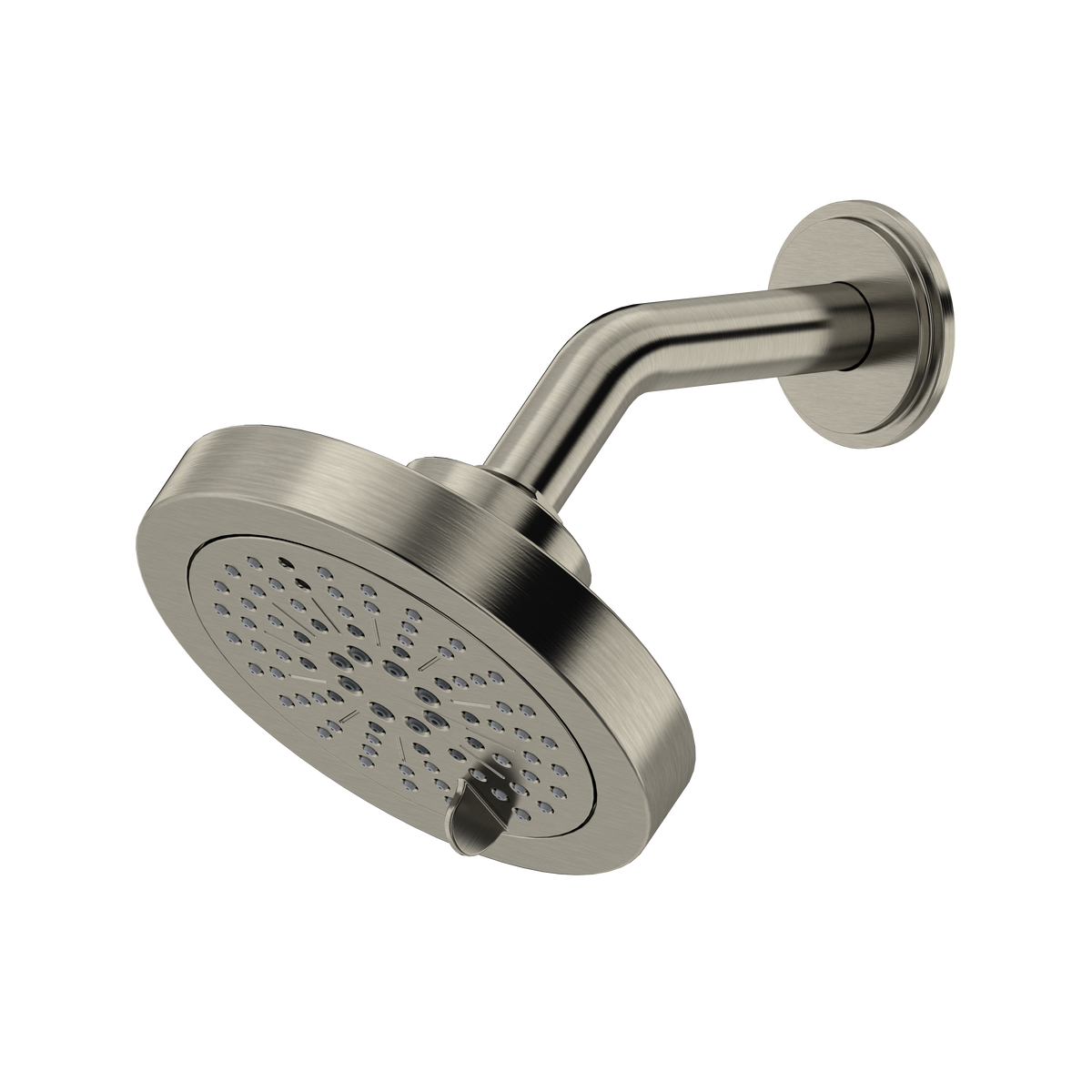 5" 6-Function Showerhead With Arm
