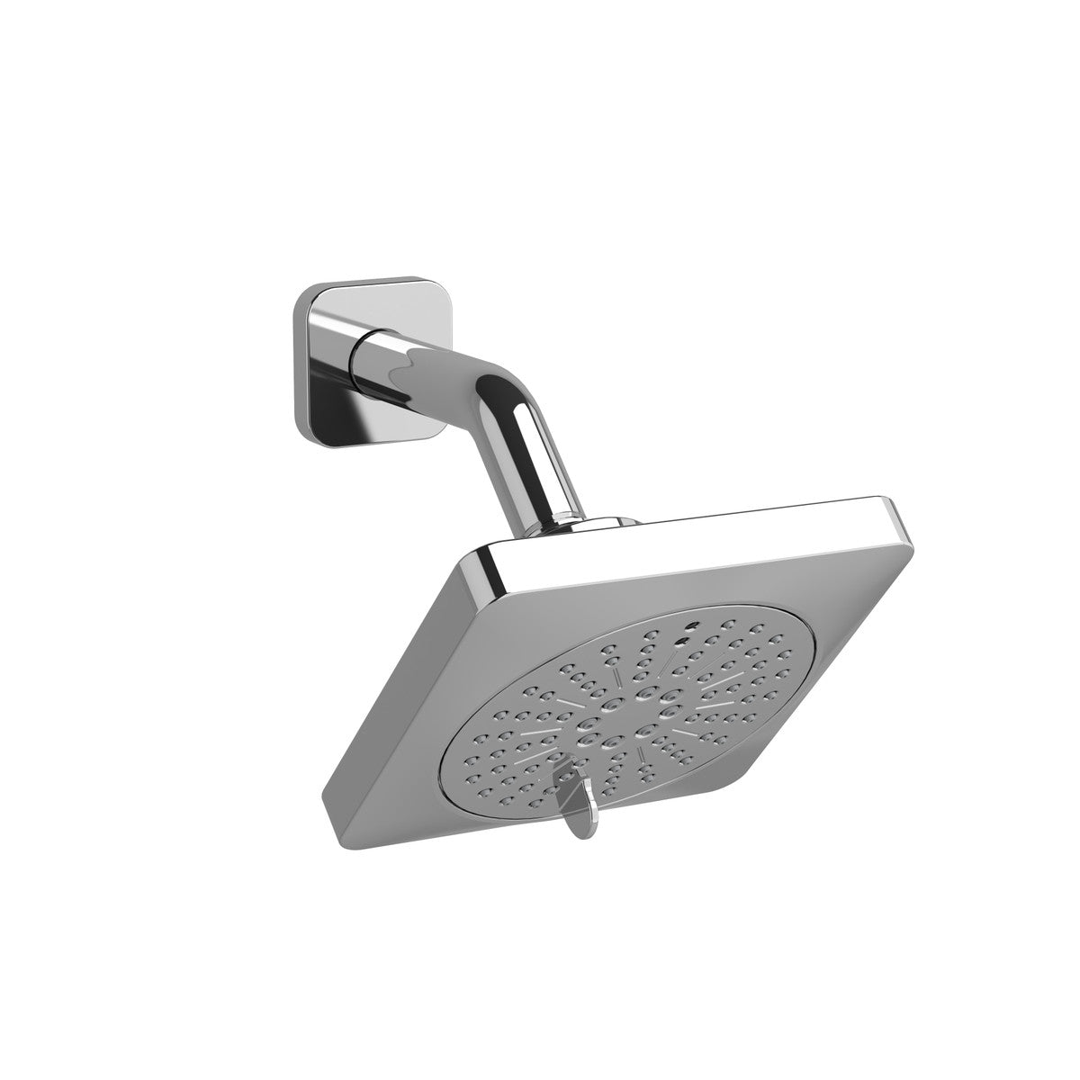5" 6-Function Showerhead With Arm
