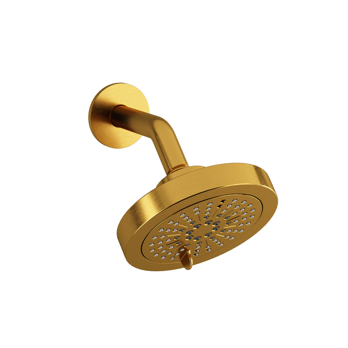 6" 6-Function Showerhead With Arm