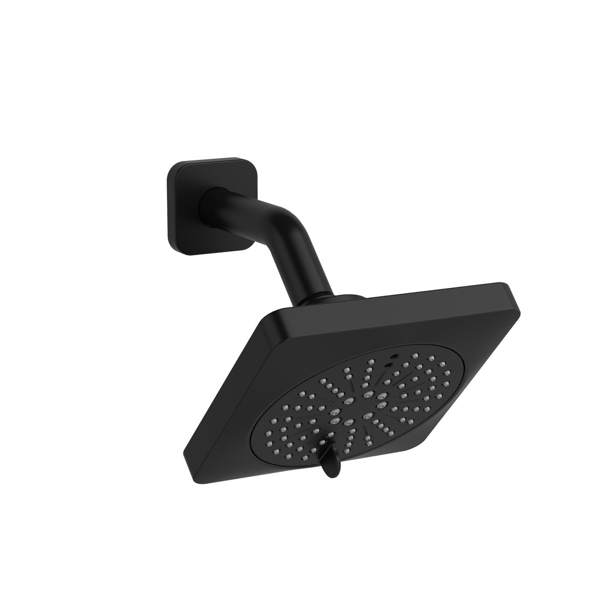 5" 6-Function Showerhead With Arm