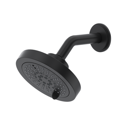5" 6-Function Showerhead With Arm