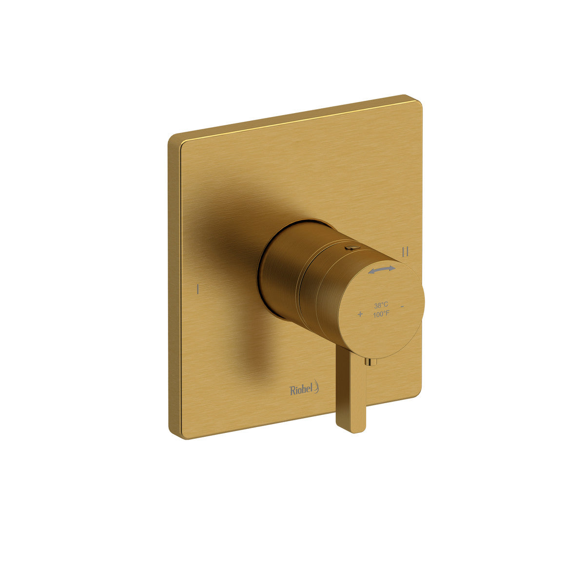 Paradox 1/2" Therm & Pressure Balance Trim With 2 Functions