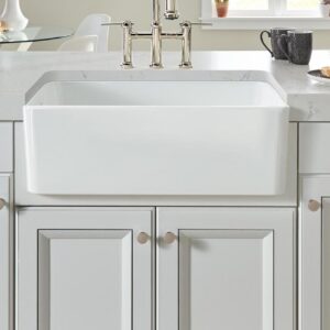 Shop BLANCO CERANA Fireclay Apron Front Sinks