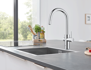 Single Handle Beverage Faucet Cold Water Only with Filtration 66 L min 175 gpm